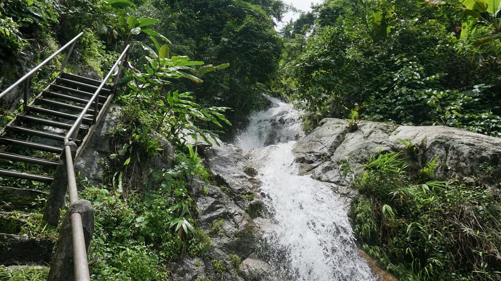 Nature India